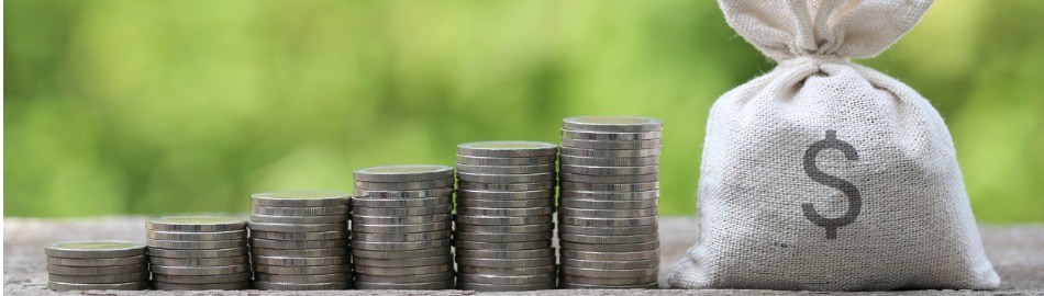 money bag and stack of coins money on natural green background